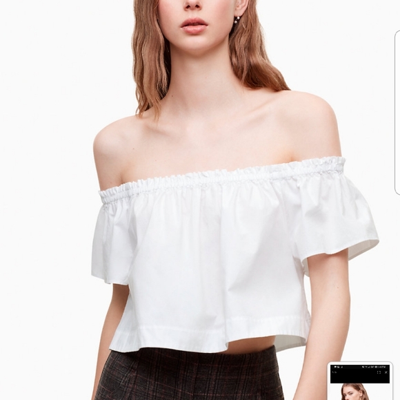 NWOT! Aritzia Wilfred top - Picture 2 of 3